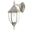 Уличный светильник Arte Lamp Pegasus A3152AL-1WG