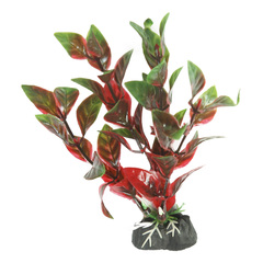 Aqua Reef набор аквариумных растений Людвигия и Кабомба 16см 6 шт