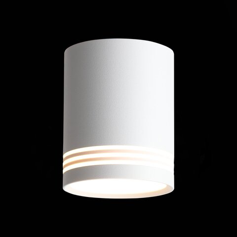 Светильник потолочный ST Luce Cerione ST101.542.12