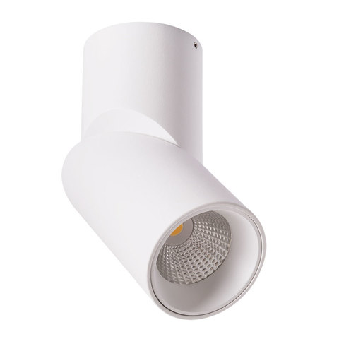 Светильник точечный Arte Lamp Meisu A7717PL-1WH