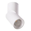Светильник точечный Arte Lamp Meisu A7717PL-1WH