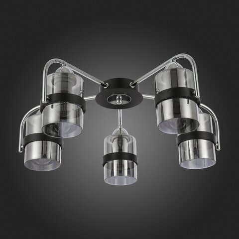 Люстра потолочная Evoluce Fiumo SLE102002-05