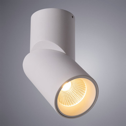 Светильник точечный Arte Lamp Meisu A7717PL-1WH