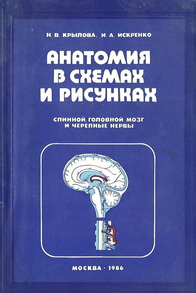 Анатомия в схемах и таблицах крылова