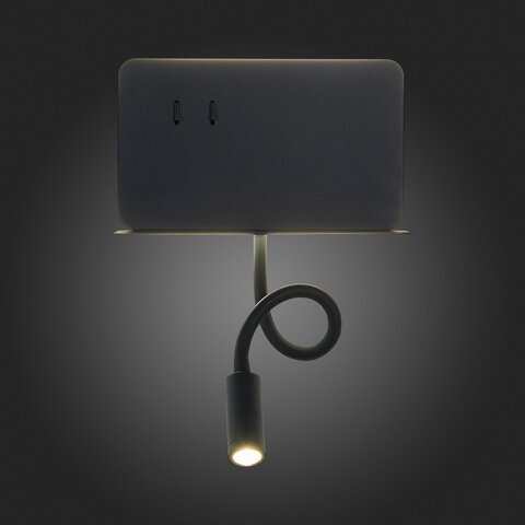 Светильник настенный ST Luce Pinaggio SL1576.401.02