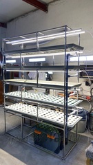 Многоярусный гидропонный стеллаж 5 ярусов B2500хД2100хШ600мм до 500 растений