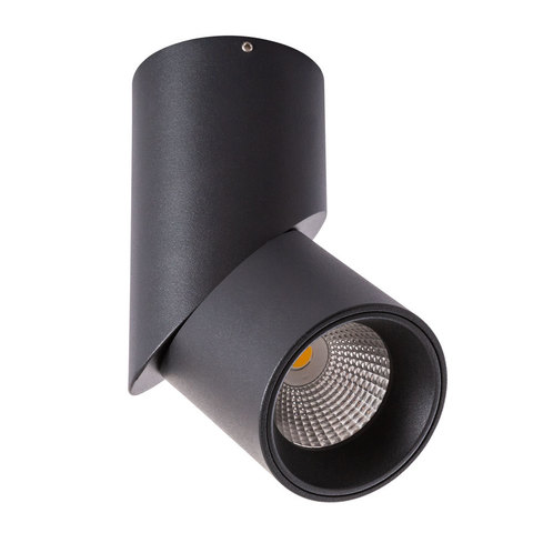 Светильник точечный Arte Lamp Meisu A7717PL-1BK