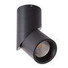 Светильник точечный Arte Lamp Meisu A7717PL-1BK