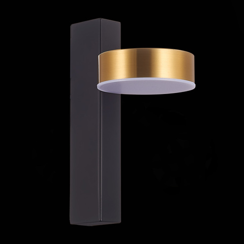 Светильник настенный ST Luce Pances SL6000.301.01