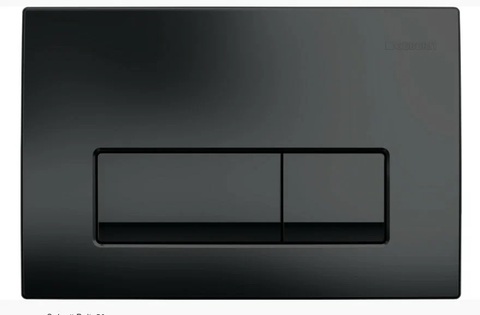 Geberit Delta50 115.119.DW.1 Кнопка смыва