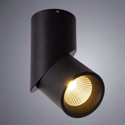 Светильник точечный Arte Lamp Meisu A7717PL-1BK