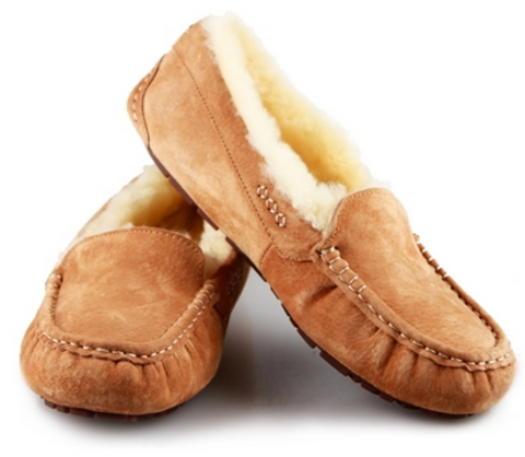 UGG Ascot Chesthut