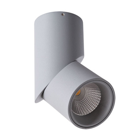 Светильник точечный Arte Lamp Meisu A7717PL-1GY