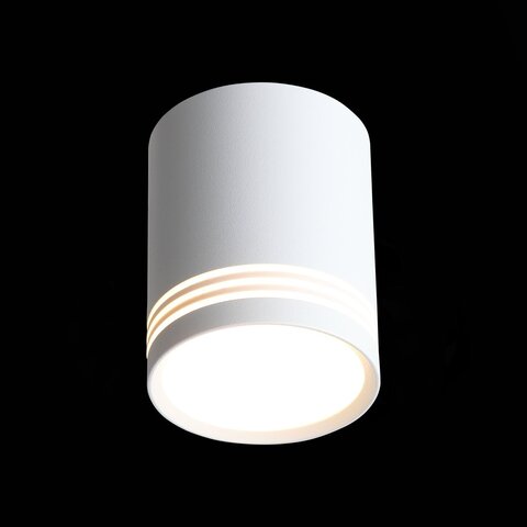 Светильник потолочный ST Luce Cerione ST101.542.12