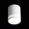 Светильник потолочный ST Luce Cerione ST101.542.12