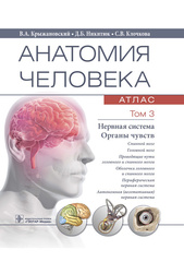 Анатомия человека : атлас : учебное пособие : в 3 т. Т. 3. Нервная система. Органы чувств (Крыжановский)