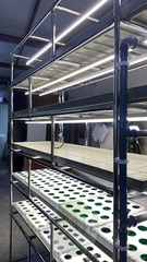 Многоярусный гидропонный стеллаж 5 ярусов B2500хД2100хШ600мм до 500 растений