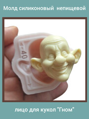 0237-XL Молд силиконовый непищевой 