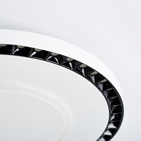 Потолочный светодиодный светильник F-Promo Skiva 4432-1C