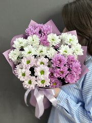 Букет из 5 разноцветных кустовых хризантем