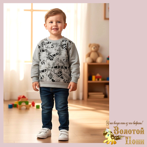 Свитшот трикотаж м (74-98) 251205-Y5106