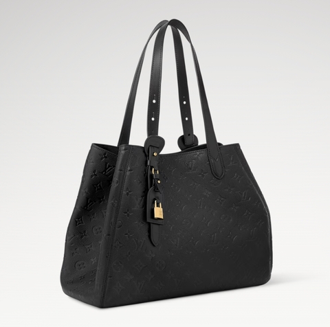 Сумка Louis Vuitton All In One PM