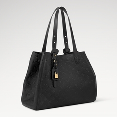 Сумка Louis Vuitton All In One PM