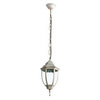 Уличный светильник Arte Lamp Pegasus A3151SO-1WG