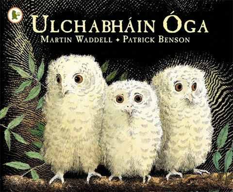 Ulchabháin Óga - Walker Eireann