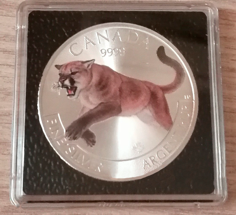 Канада 2016, 5 долларов, серебро. Кугуар, цветная