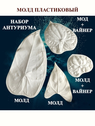 Молд+Вайнер 