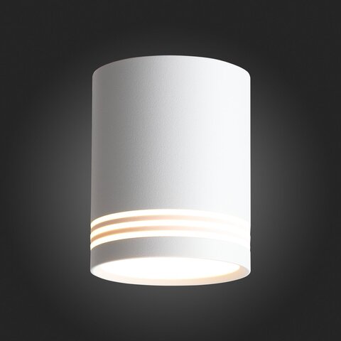 Светильник потолочный ST Luce Cerione ST101.542.12