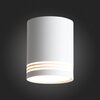 Светильник потолочный ST Luce Cerione ST101.542.12