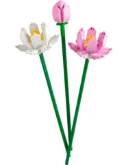 Конструктор LEGO Botanical Collection 40647 Цветы лотоса