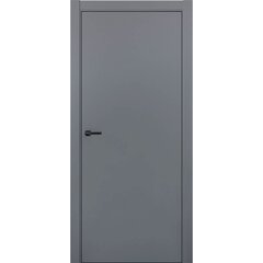 Купить Межкомнатная дверь ПЭТ Silk графит глухая