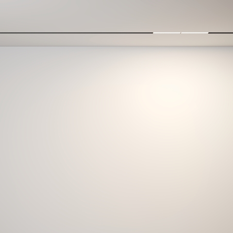 Магнитный трековый светильник Maytoni Parete TR106-2-12W3K-B