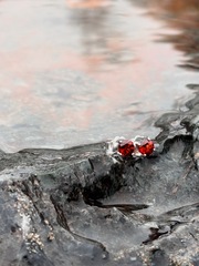 Серьги Crystal Circle с гранатом