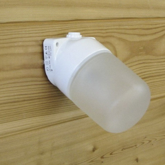 Светильник для бани Облик Fireway в интернет-магазине ЯрТехника