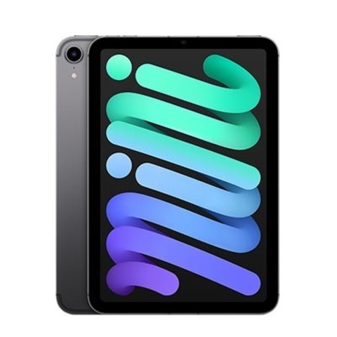 iPad mini 2021, Wi‑Fi + Cellular, 256 ГБ, «Серый космос»