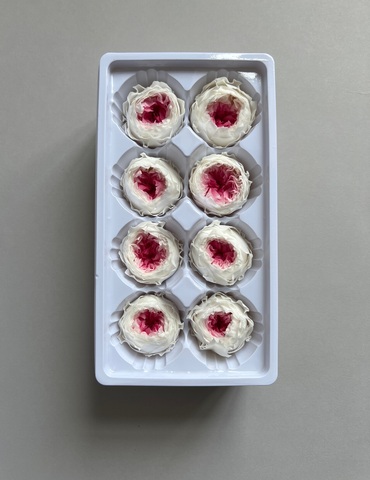 Роза пиновидная бело-розовая d=4-5 см (упак 8 шт)