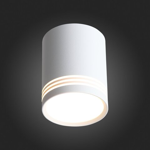 Светильник потолочный ST Luce Cerione ST101.542.12