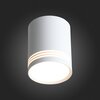 Светильник потолочный ST Luce Cerione ST101.542.12