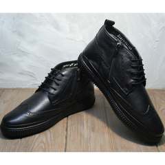 Зимние ботинки кожа мужские Rifellini Rovigo C8208 Black