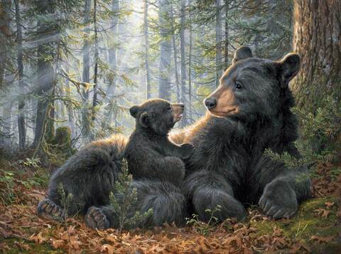 Панель Northcott Mama bear