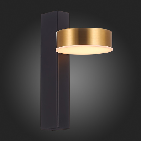 Светильник настенный ST Luce Pances SL6000.301.01