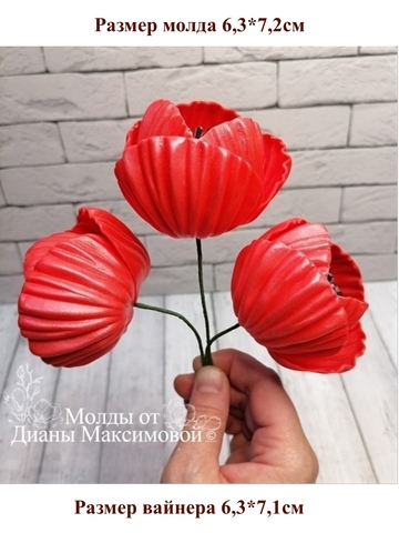 Молд пластиковый+вайнер силиконовый 