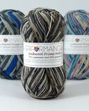 Пряжа Performance Sockwool Prime Multi 17523