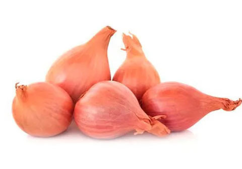 Лук шалот свежий, 250г