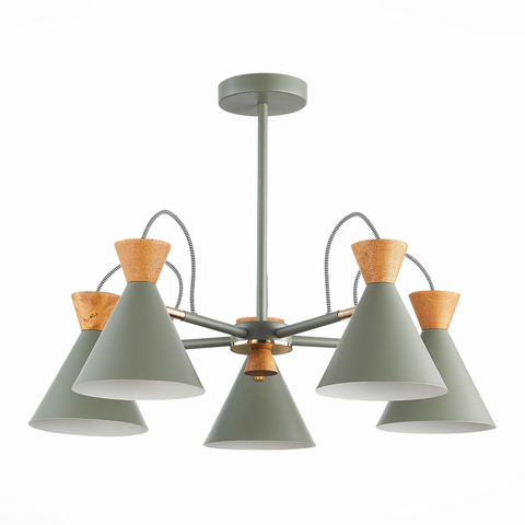 Светильник потолочный Evoluce Modica SLE125112-05