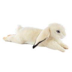 Hansa Мягкая игрушка 